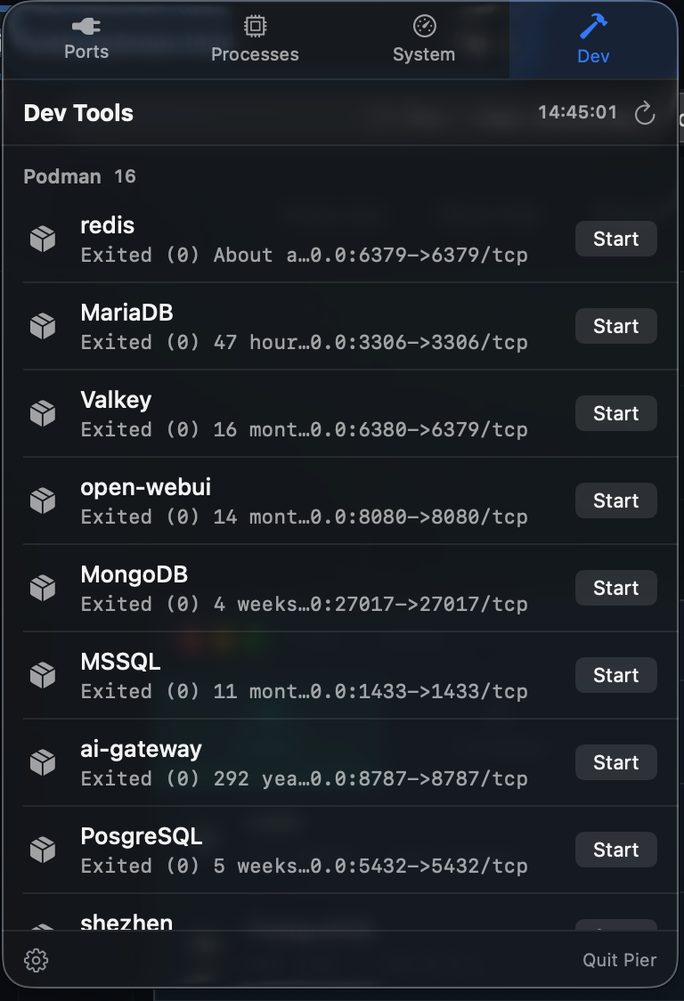 Pier dev tools